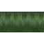 dortak-497