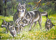 Канва/ткань с рисунком Матренин Посад 4004 "Волки"